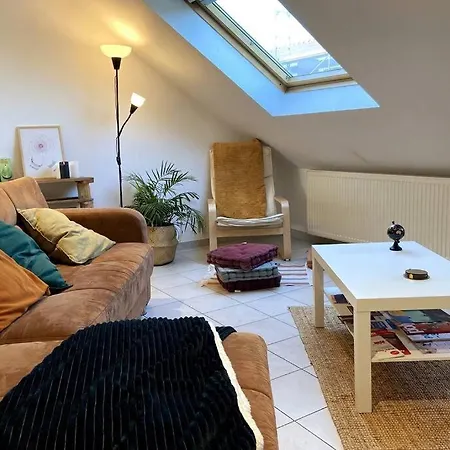 10Min Bus Strasbourg Centre-Parking Prive-Wifi-Tv Apartment Bischheim Exterior photo