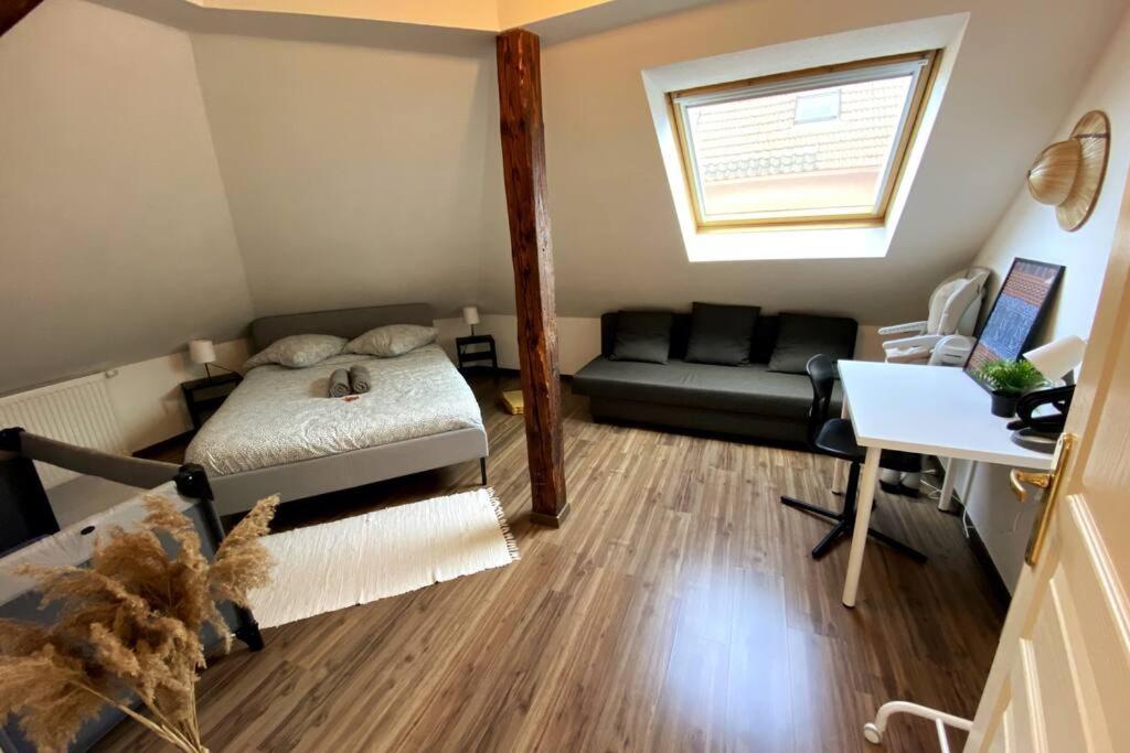 Apartment 10min Bus Strasbourg Centre-parking Prive-wifi-tv Bischheim